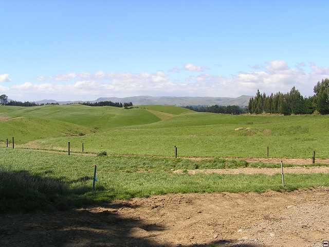 NZ leden-unor 2006 116.jpg
